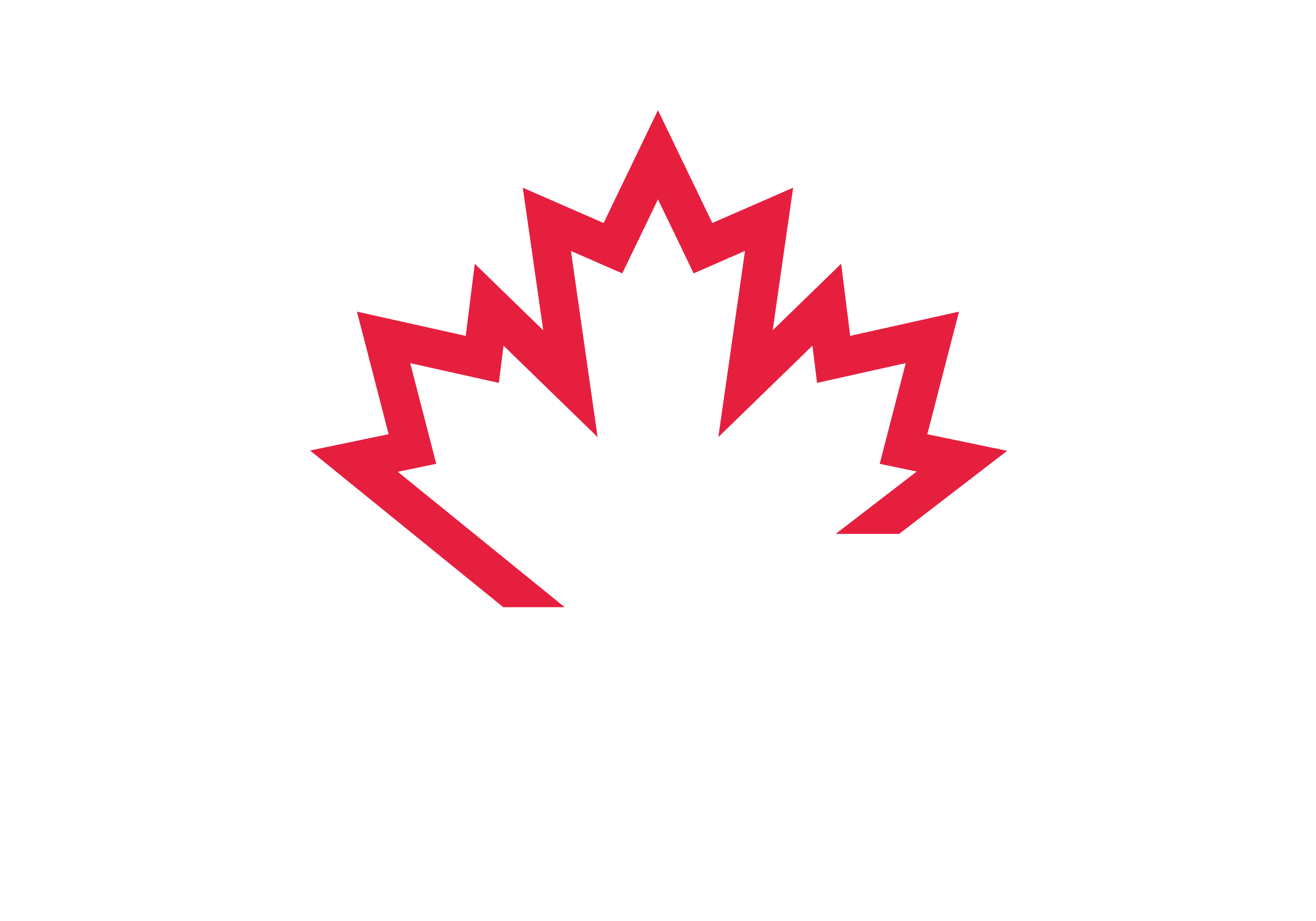 EV Immigration