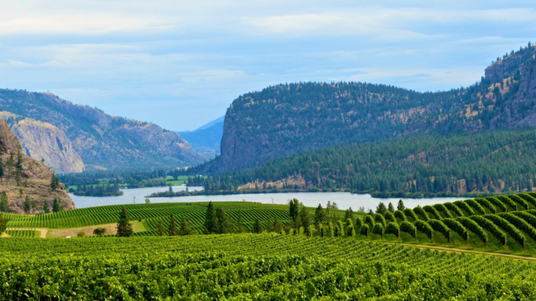 Temporary Foreign Worker Program